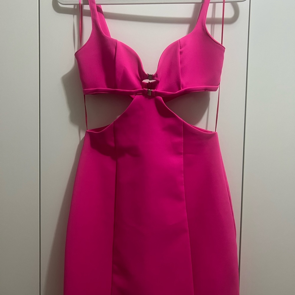 Zara Pink Front Detail Bodycon Dress